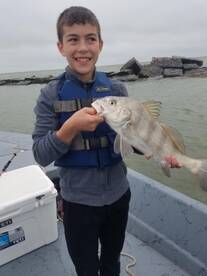 Galveston Report Photo 1