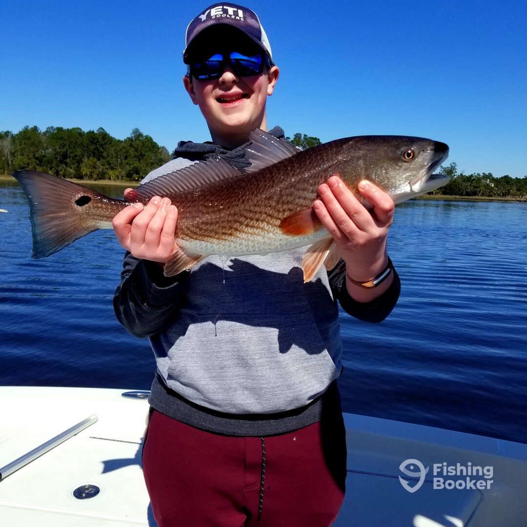 Mount Pleasant Report Photo 0