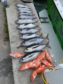 Dania Beach Report Photo 2