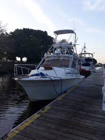 Port Canaveral Report Photo 2