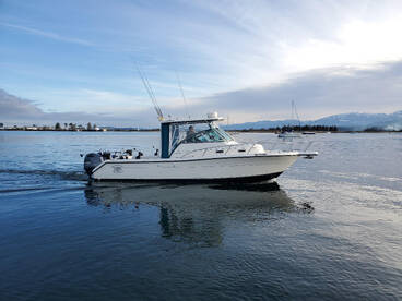 Comox Report Photo 2