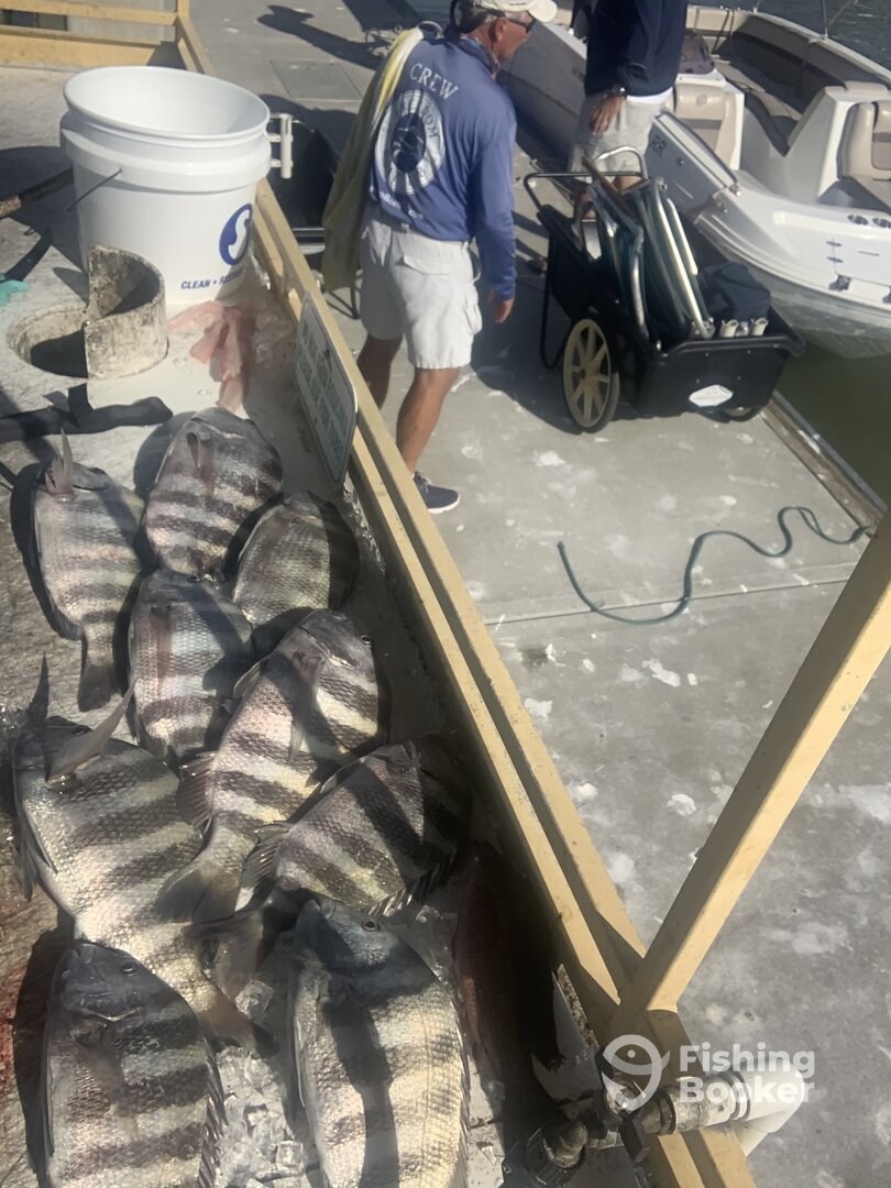 Marco Island Report Photo 0