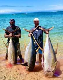 Yellow Fin for Xmass 