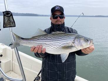 Cumming Report Photo 1