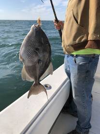 Gulf Shores Report Photo 1