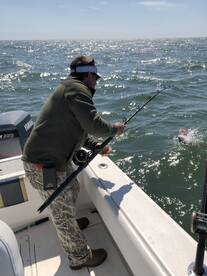 Gulf Shores Report Photo 2