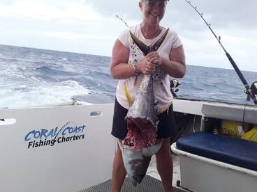 Yellowfin verses Shark!