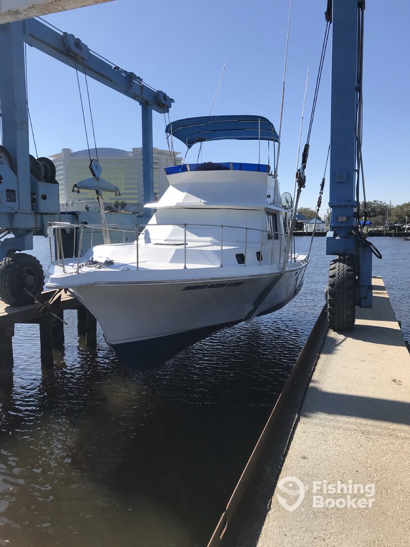 Biloxi Report Photo 0