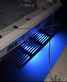 Biloxi Report Photo 2