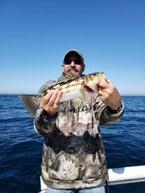 San Diego Report Photo 1