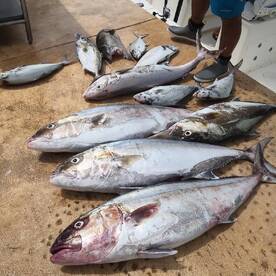 Puerto Aventuras Report Photo 2