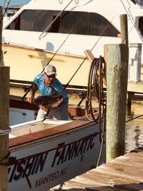 Tuna Fishing Has Been Awesome!