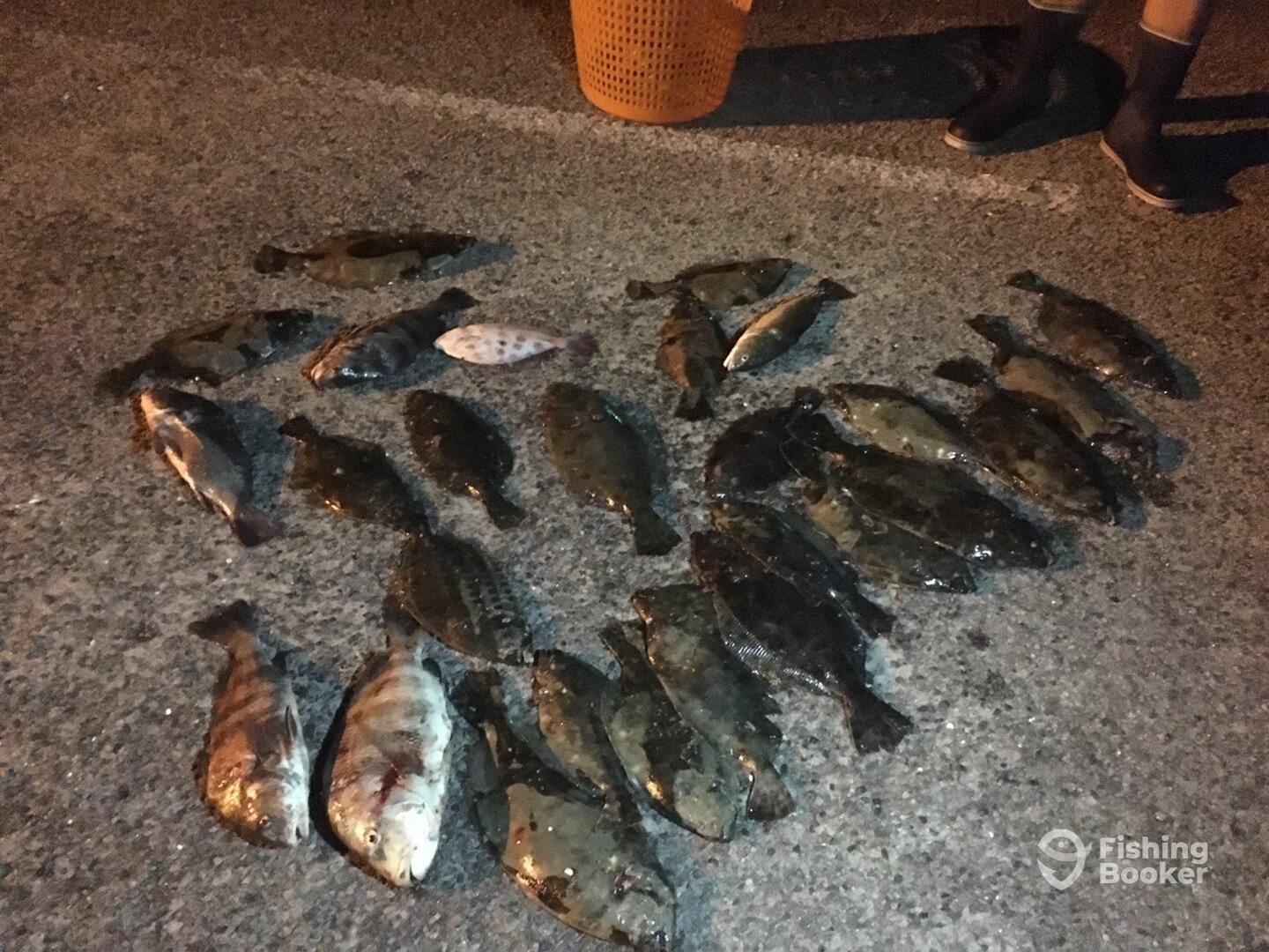 St. Helena Island Report Photo 0