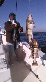 Good quality bass on the FINRUNNER