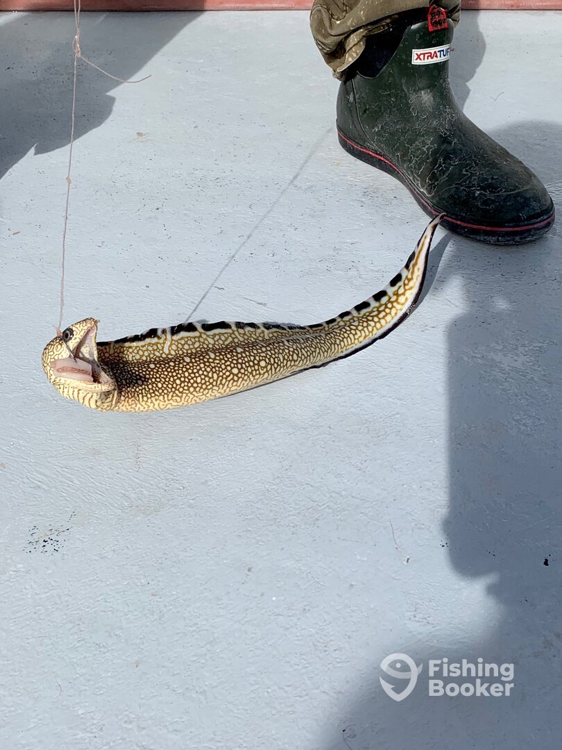 Destin Report Photo 0