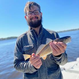 Foto Report Mount Pleasant 1