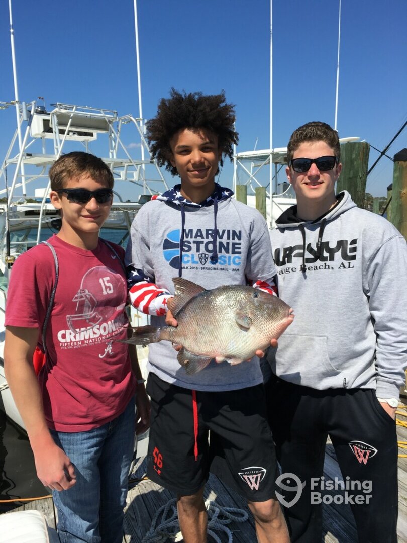 Orange Beach Report Photo 0