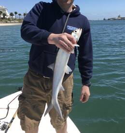 Port Canaveral Report Photo 2