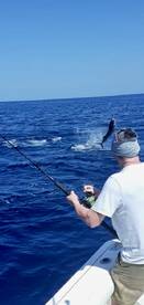 Playa Flamingo Report Photo 1