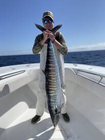 Wilmington Report Photo 1