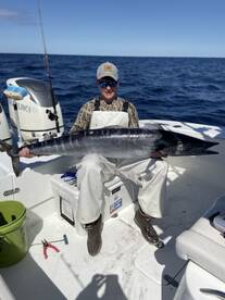 Wilmington Report Photo 2