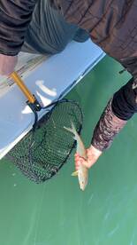 San Diego Report Photo 2