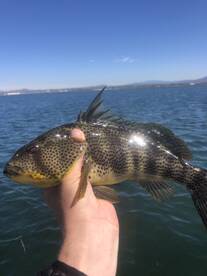 San Diego Report Photo 1