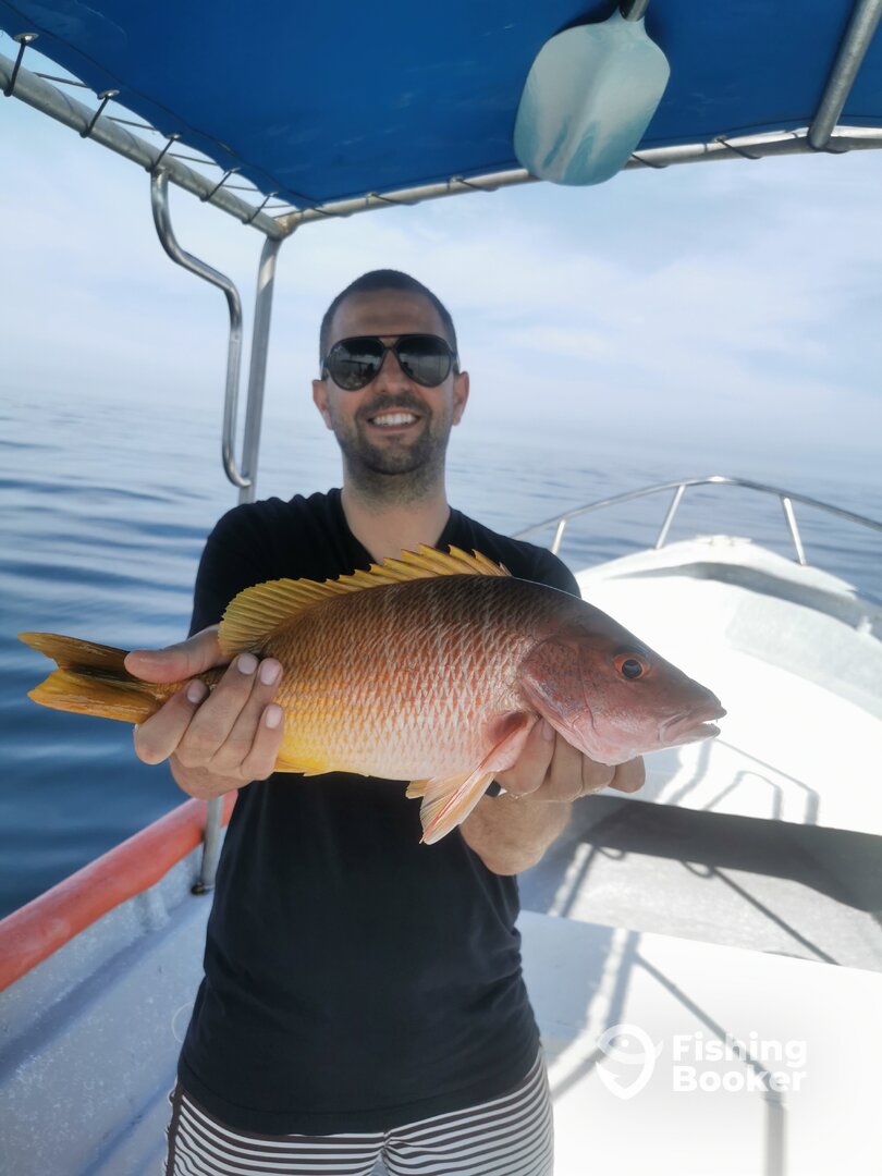 Punta Mita Report Photo 0