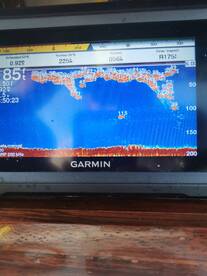 Punta Mita Report Photo 2