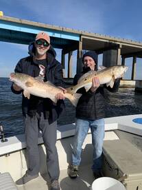 Pensacola Report Photo 2