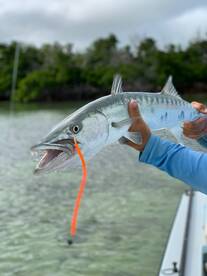 Spring is in the air!