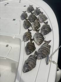 Panama City Beach Report Photo 2