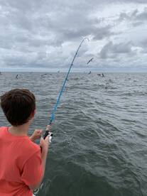 Oriental Report Photo 2