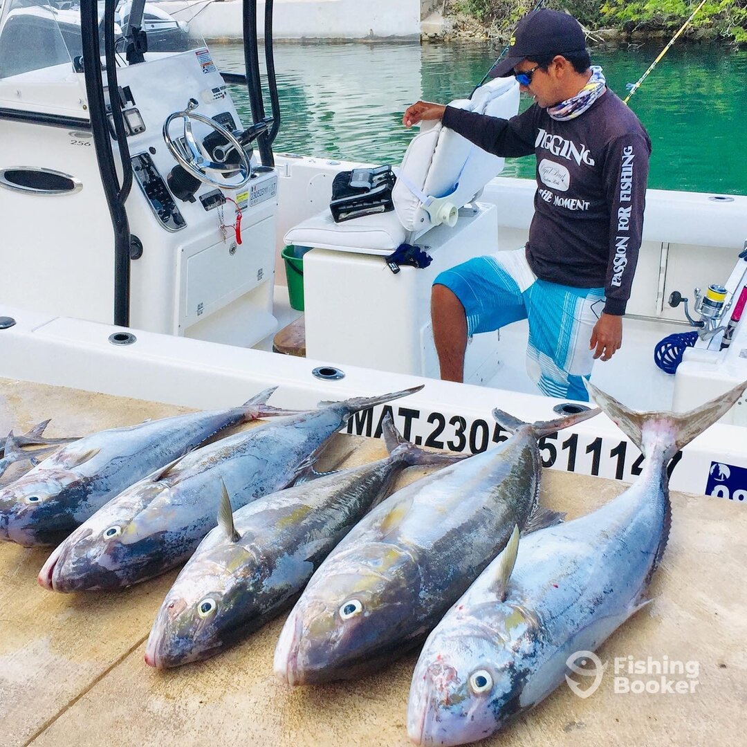 Puerto Aventuras Report Photo 0