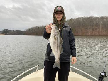 Cumming Report Photo 2