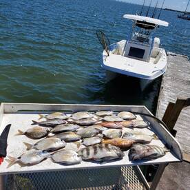 March Fishing Report