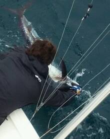 Fort Lauderdale Report Photo 2