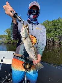 Charlotte Harbor is Lighting Up