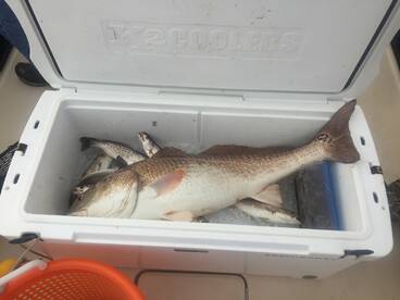 Theriot Report Photo 2