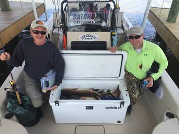 Theriot Report Photo 1