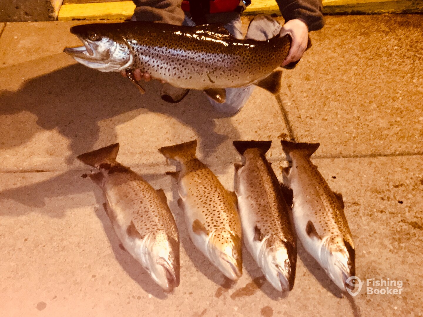 Oswego Report Photo 0