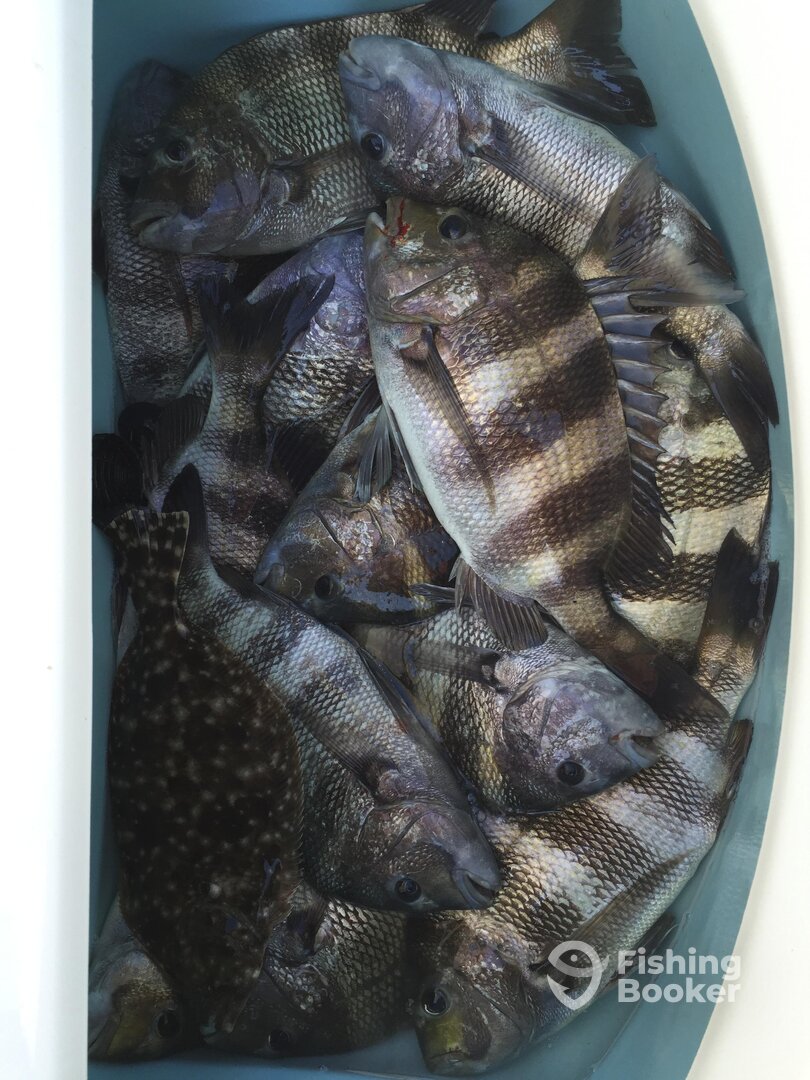 Pensacola Report Photo 0