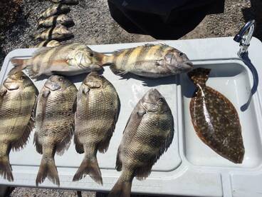 Pensacola Report Photo 1