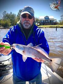 Ocean Springs Report Photo 2