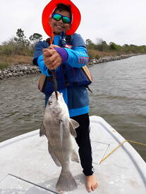 Houston Report Photo 2