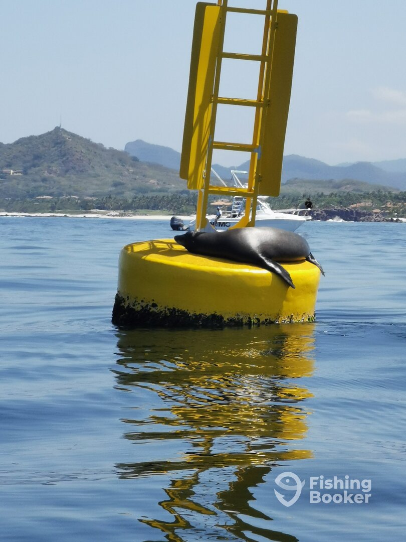 Punta Mita Report Photo 0