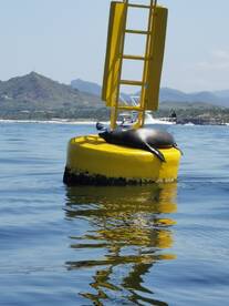 Otro gran día a bordo.!! 