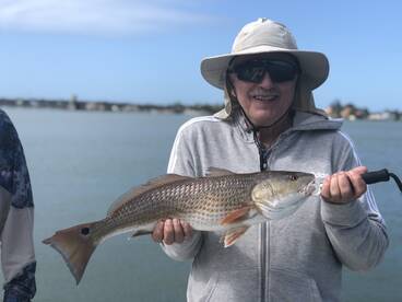 Venice Report Photo 2