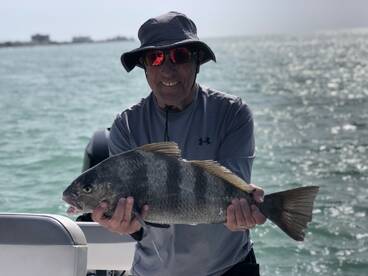 Sarasota Report Photo 1