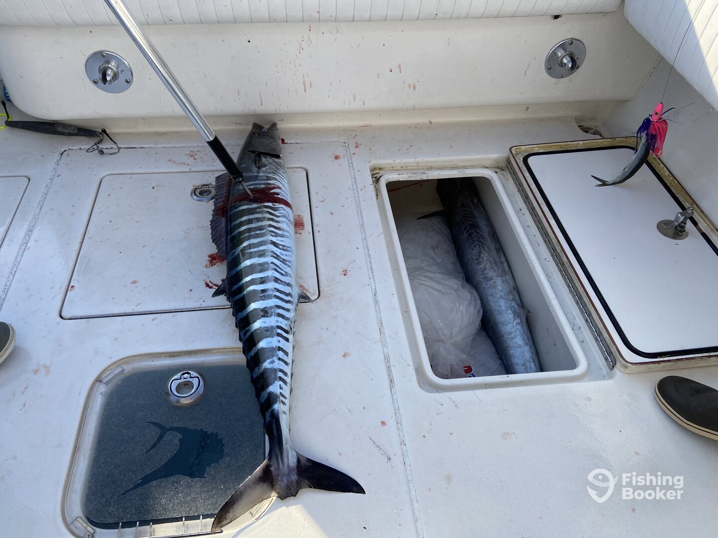 Little River Report Photo 0